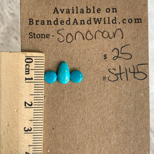 Sonoran Turquoise Cabochon - ST145