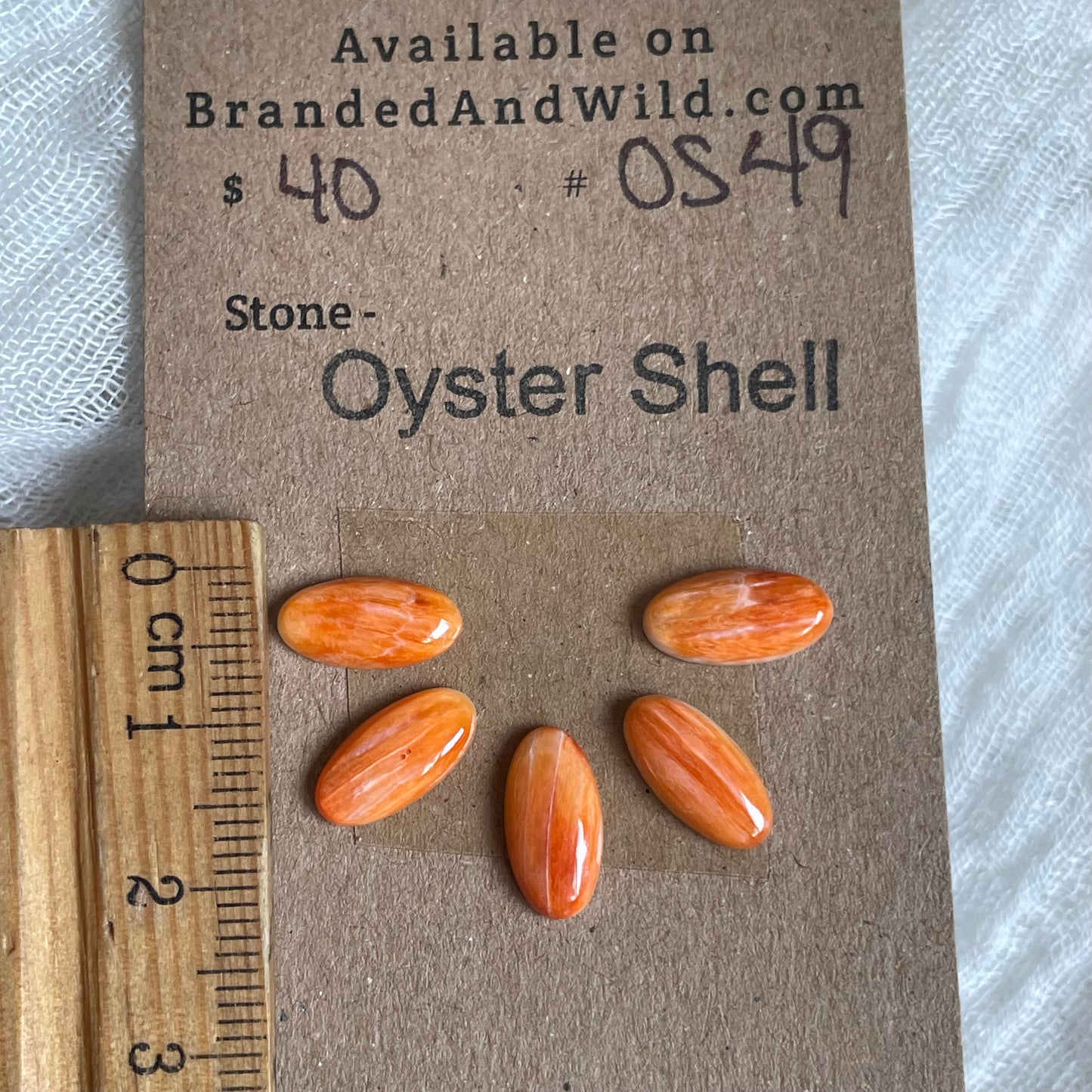 Oyster Shell Cabochon - OS49