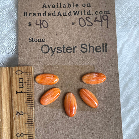 Oyster Shell Cabochon - OS49 BC3E41D6-27E6-4C19-922C-770D7DB3CAE2 Brandedandwild.com