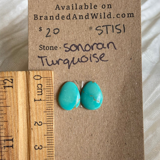 Sonoran Turquoise Cabochon - ST151 BC6D6C07-A403-4C78-89F9-619B74FB438D Brandedandwild.com