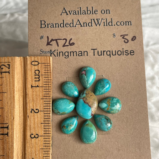 Kingman Turquoise Cabochon - KT26 BC6FF04C-6359-47C4-9E9D-446CAAC09F77 Brandedandwild.com