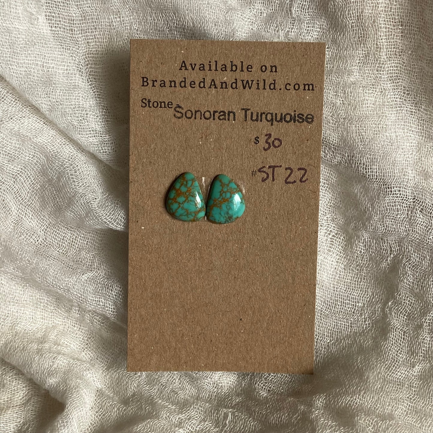 Sonoran Turquoise Cabochon - ST22