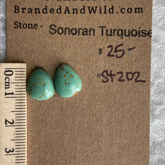 Sonoran Turquoise Cabochon - ST202