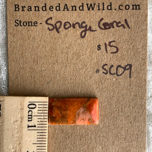 Sponge Coral Cabochon - SC09