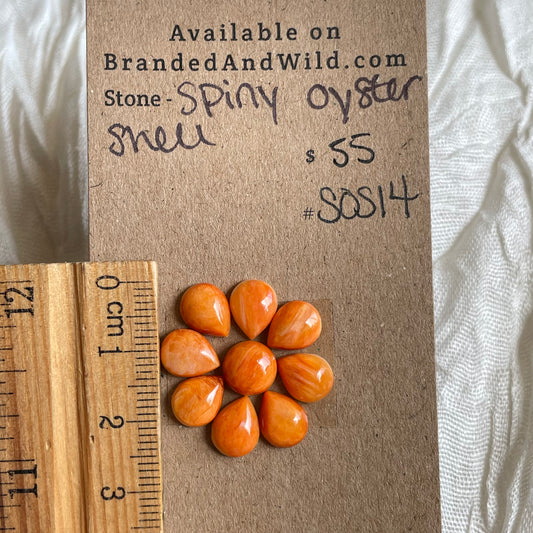 Spiny Oyster Shell Cabochon - SOS14 BCE5FB5A-42BD-4CF9-9BF6-84A7E0626532 Brandedandwild.com