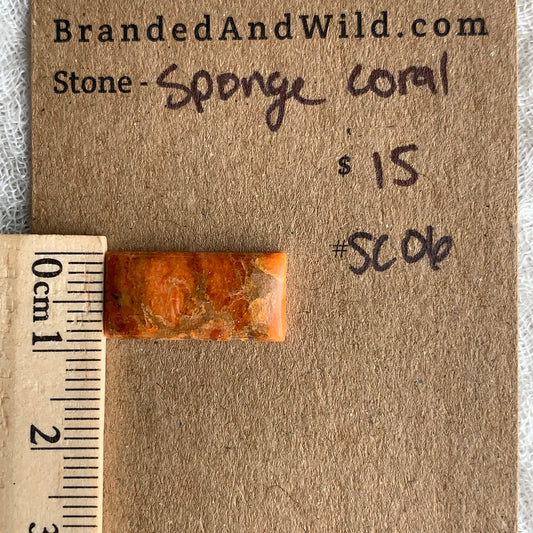 Sponge Coral Cabochon - SC06