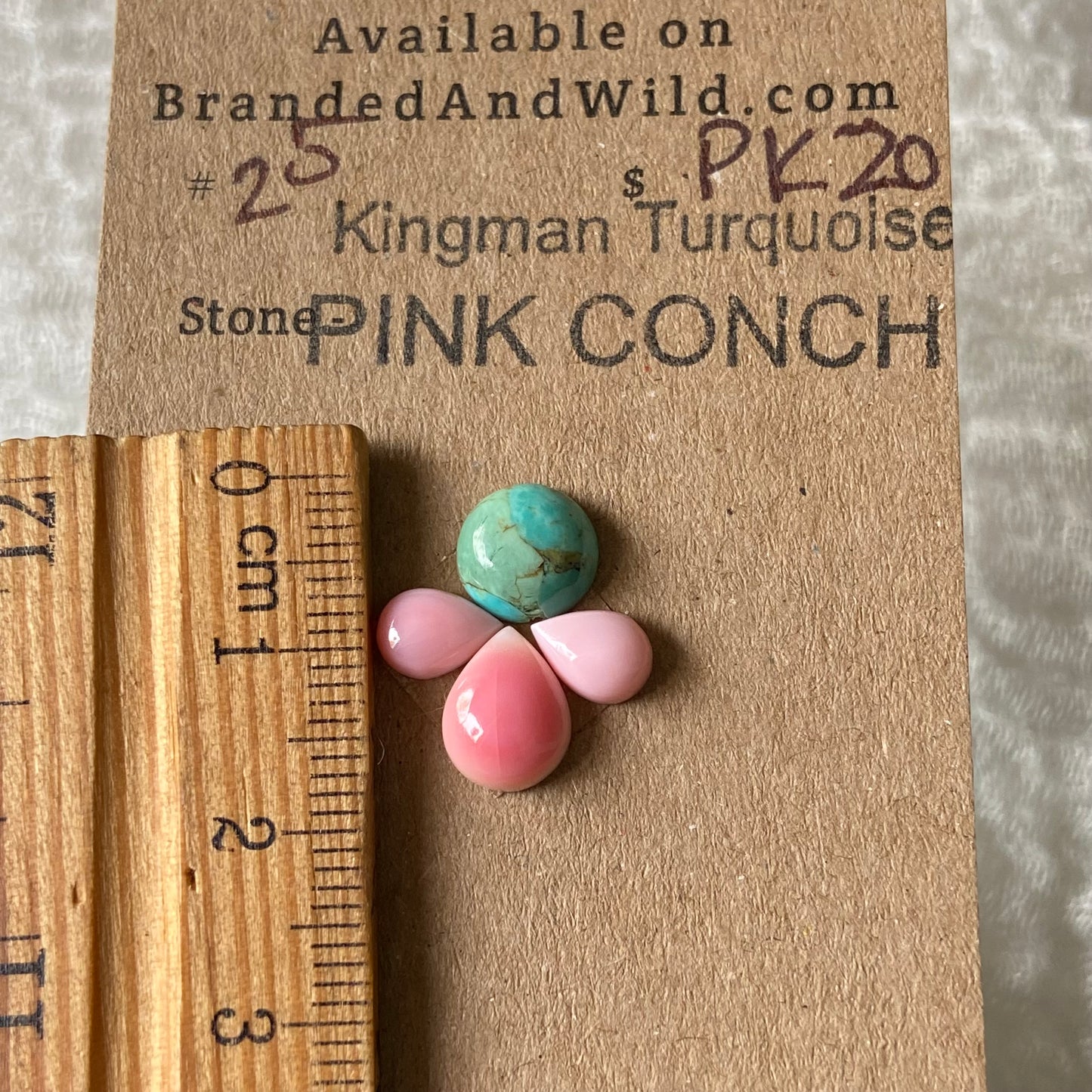 Pink Conch / Kingman Turquoise Cabochon - PT20