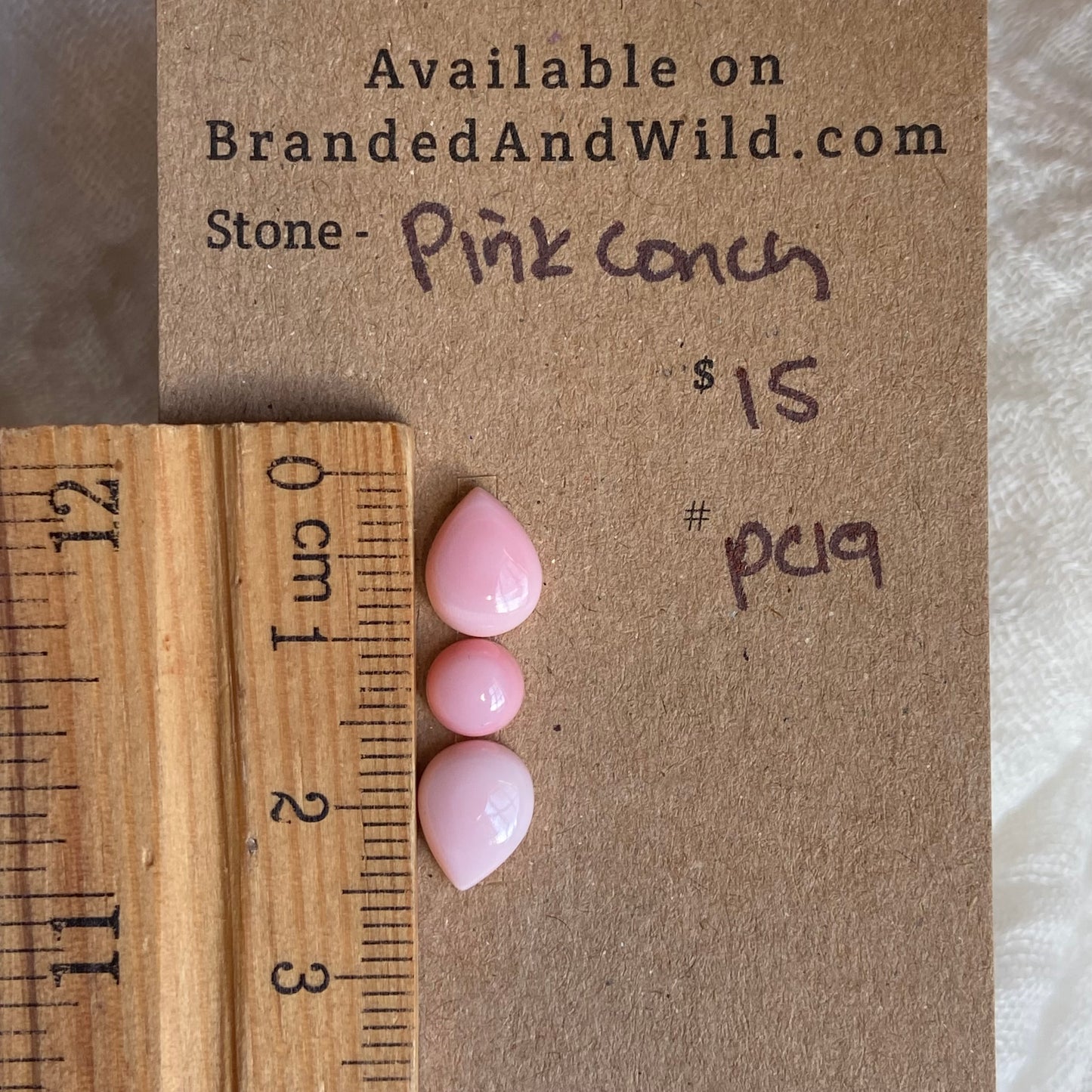 Pink Conch Cabochon - PC19