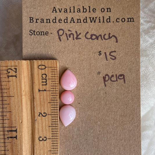Pink Conch Cabochon - PC19