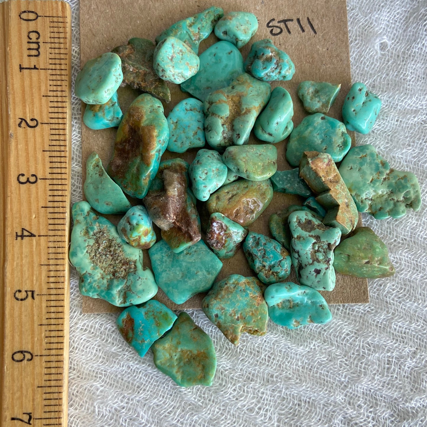 Rough Tumbled Sonoran Gold Turquoise - #ST11