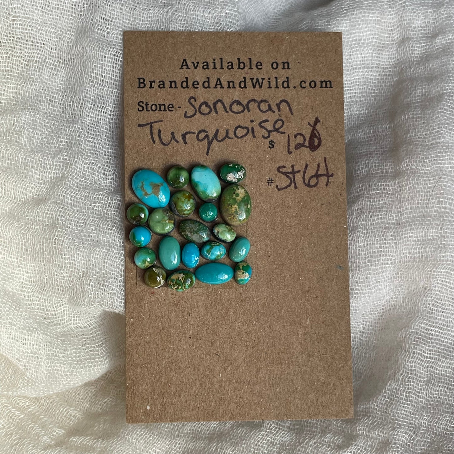 Sonoran Turquoise Cabochon - ST64