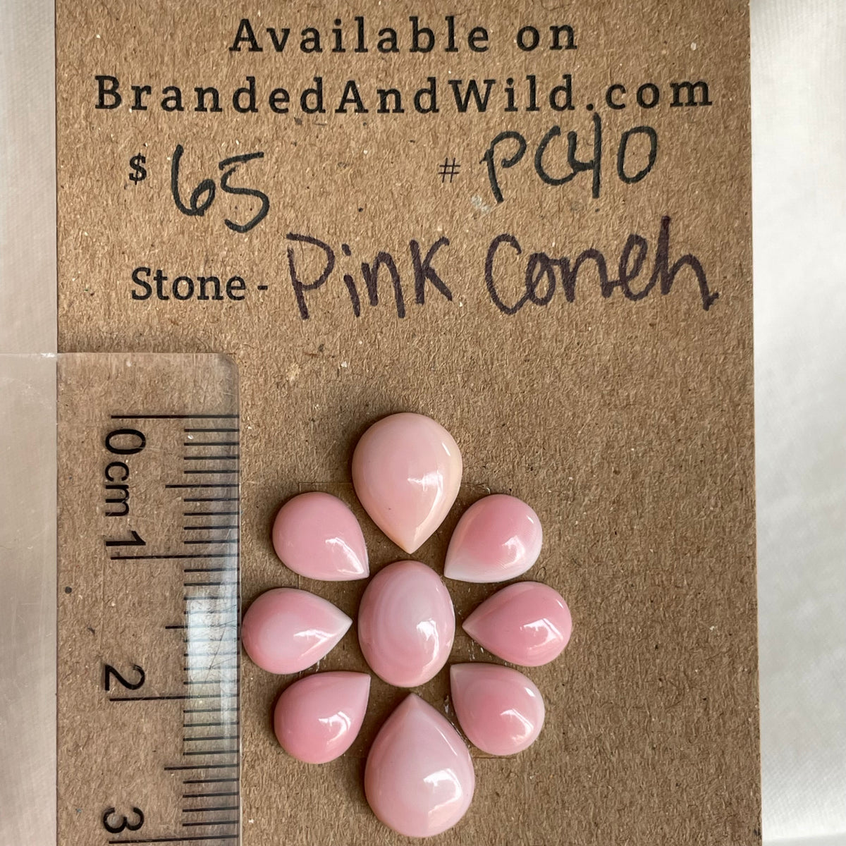 Pink Conch Cabochon - PC40 BD5B85BC-B99A-4F89-AC12-B9BDF97BFB4C Brandedandwild.com