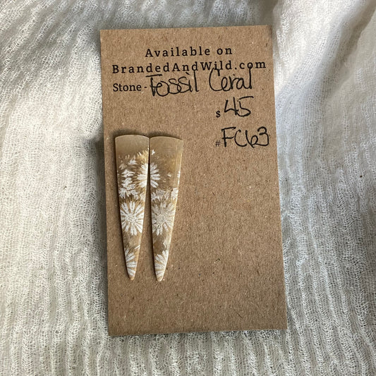 Fossil Coral Cabochon - FC63