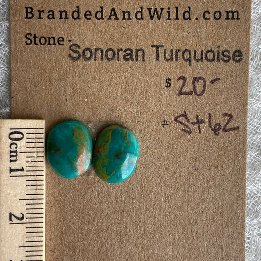 Sonoran Turquoise Cabochon - ST62