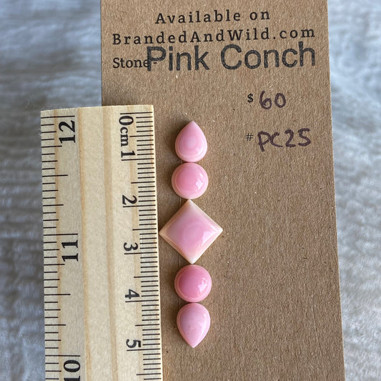 Pink Conch Cabochon - PC25