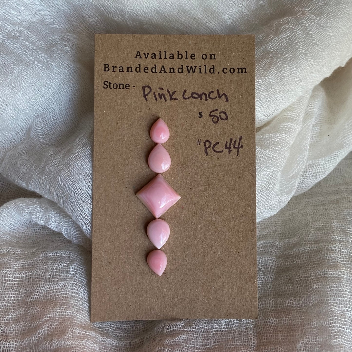 Pink Conch Cabochon - PC44