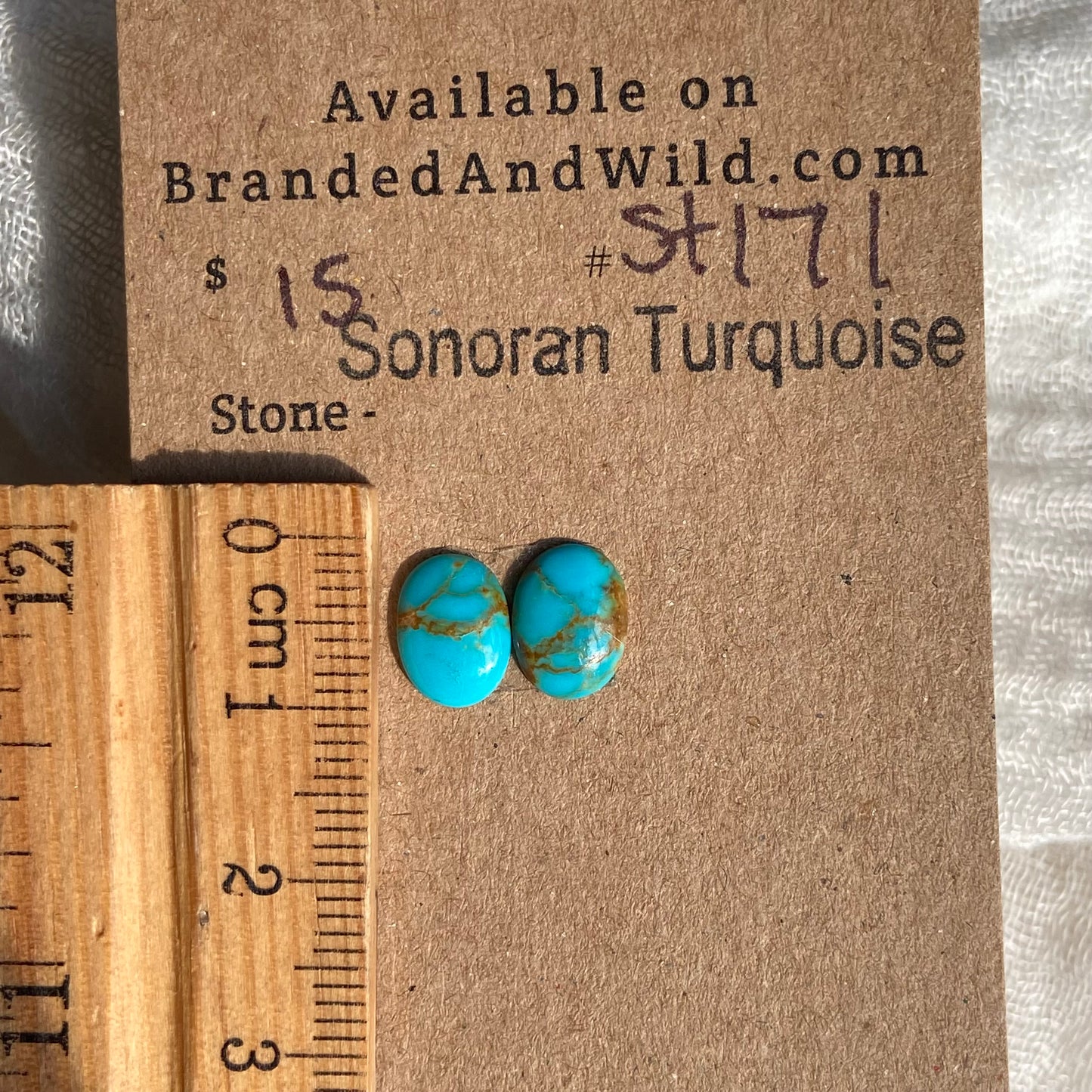 Sonoran Turquoise Cabochon - ST171