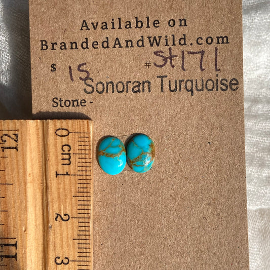 Sonoran Turquoise Cabochon - ST171