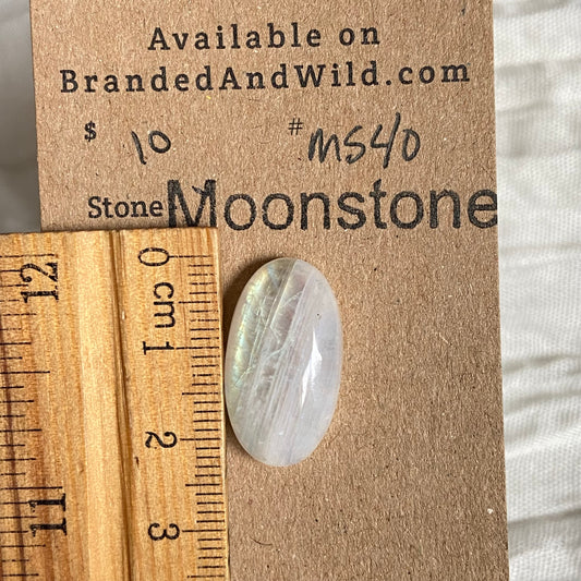 Moonstone cabochon - Ms40 BDB1187E-B5E4-4746-8744-9D5806941B70 Brandedandwild.com