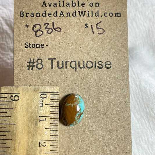 #8 Turquoise Cabochon - #836 BDF6F0FF-2E06-4912-B402-D4B21A1C32DA Brandedandwild.com