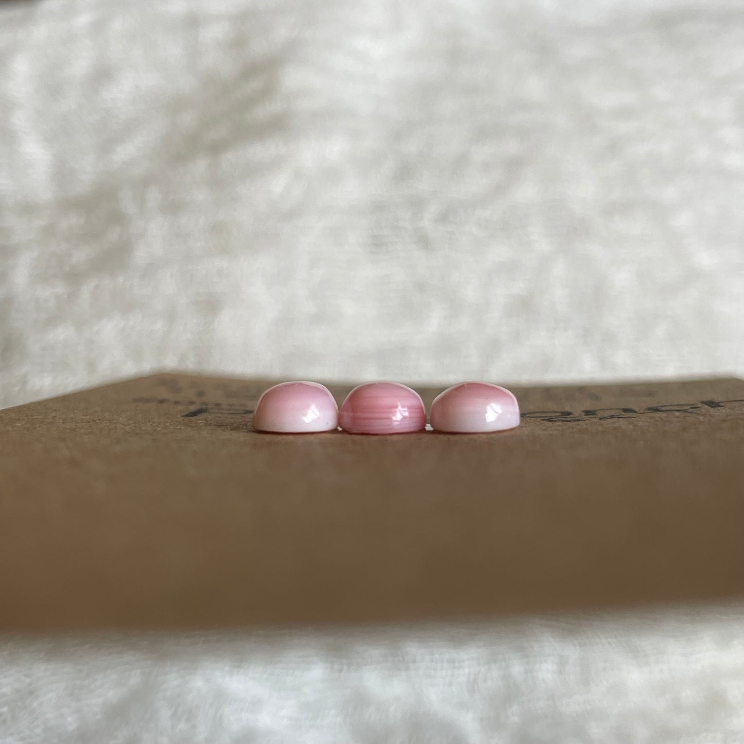Pink Conch Cabochon - PC40