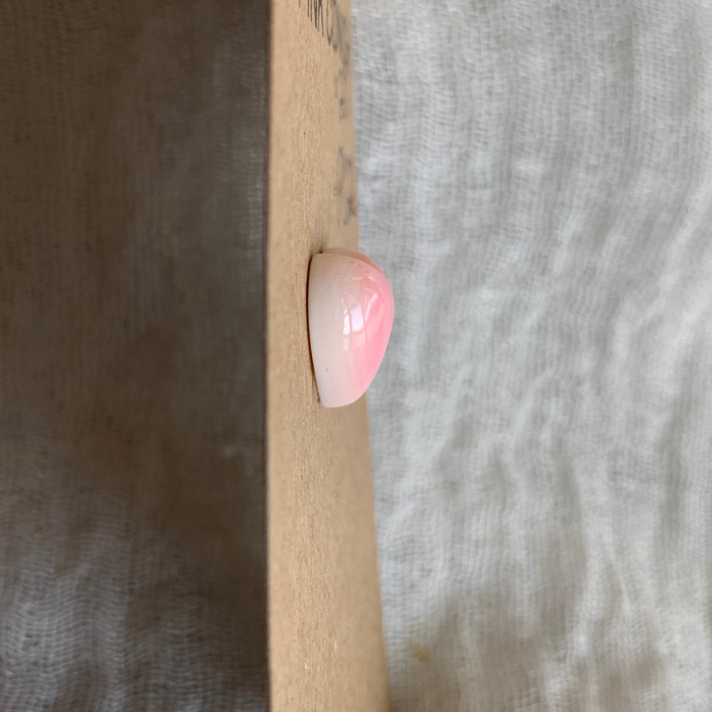 Pink Conch Cabochon - PC22