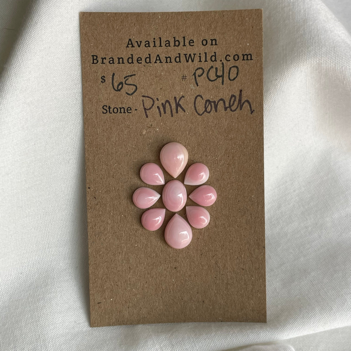 Pink Conch Cabochon - PC40 BE4D78D6-28EC-4A95-B453-6F70956BACE0 Brandedandwild.com