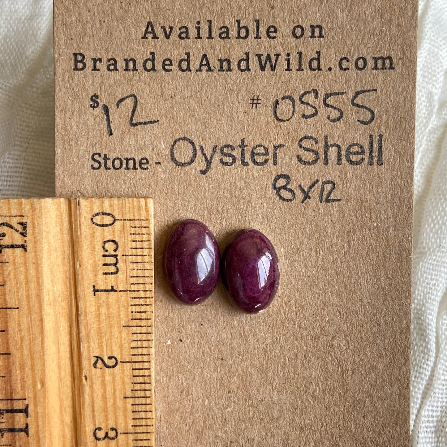 Oyster Shell Cabochon - OS55
