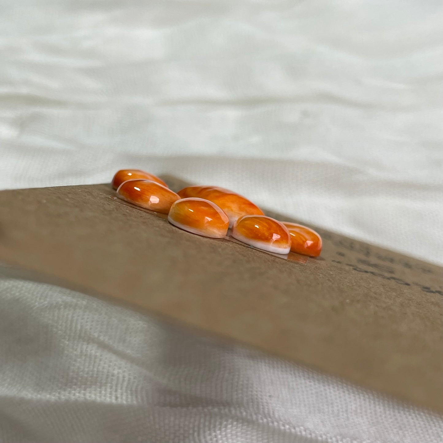 Oyster Shell Cabochon - S0S36 BEB9EDF9-84AC-48AF-8BD0-15EB4E087A16 Brandedandwild.com