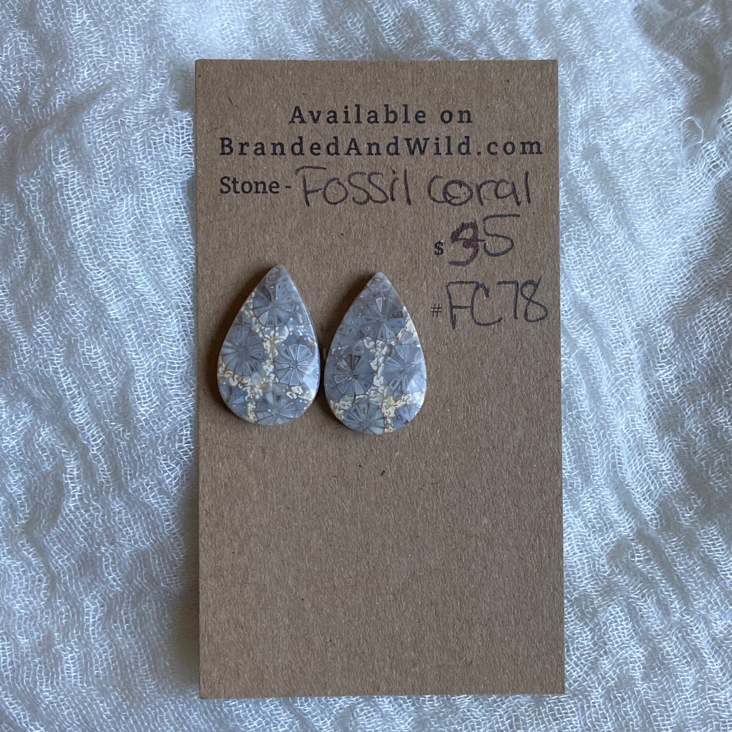 Fossil Coral Cabochon - FC78