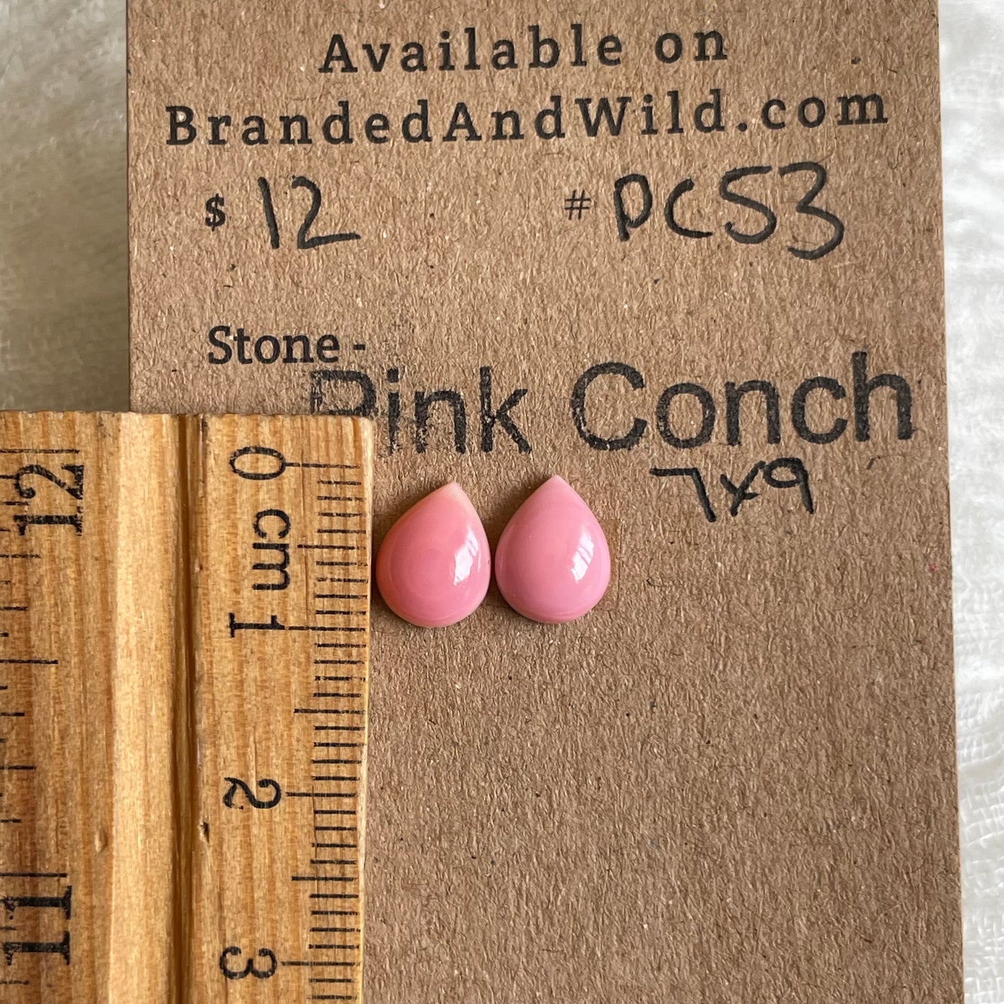Pink Conch Cabochon - PC53