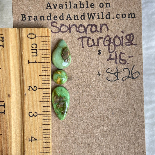 Sonoran Turquoise Cabochon - ST26