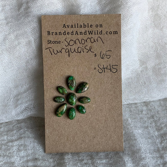 Sonoran Turquoise Cabochon - ST45