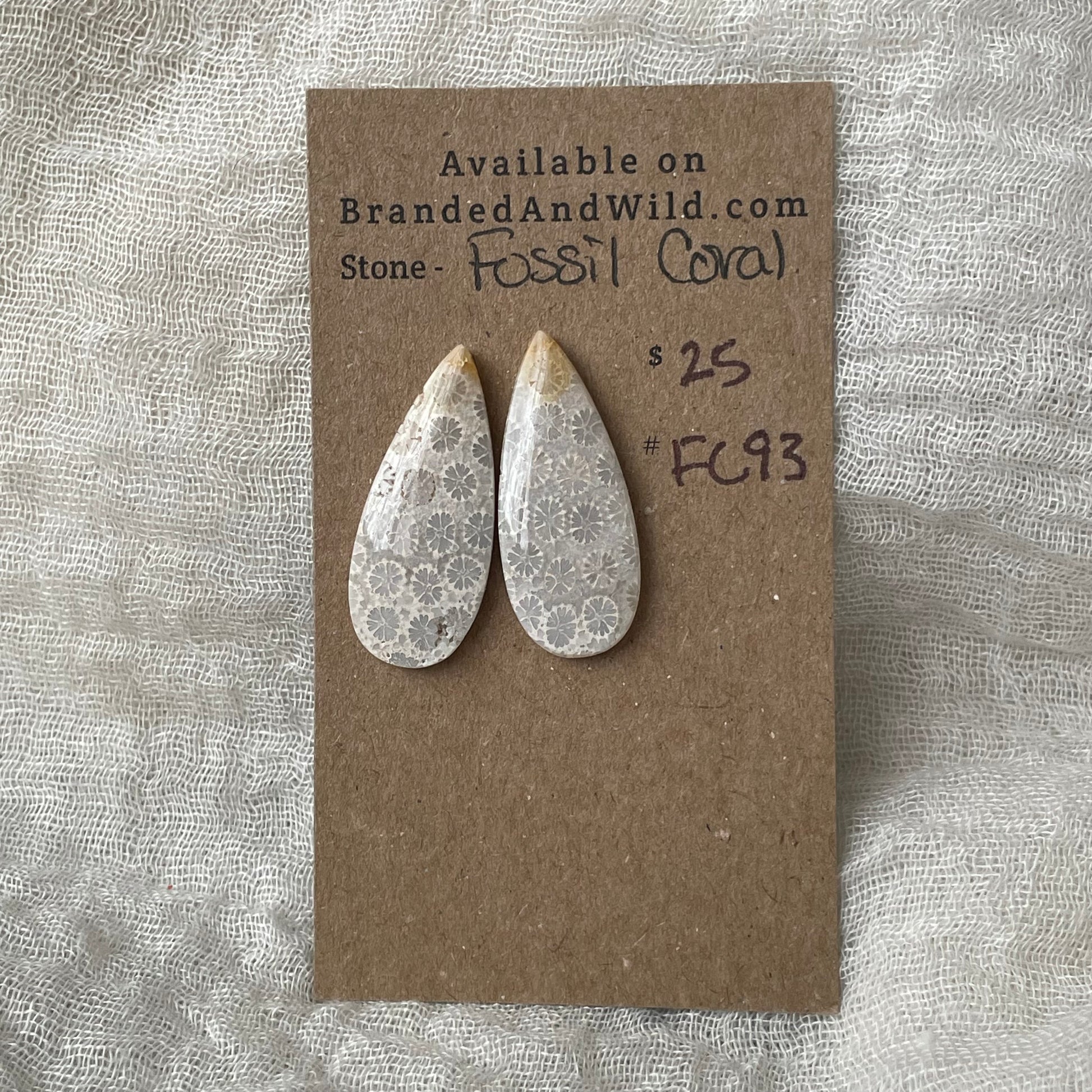 Fossil Coral Cabochon - FC93 BF60649D-22AD-4E71-B0C4-3922E46F972A Brandedandwild.com