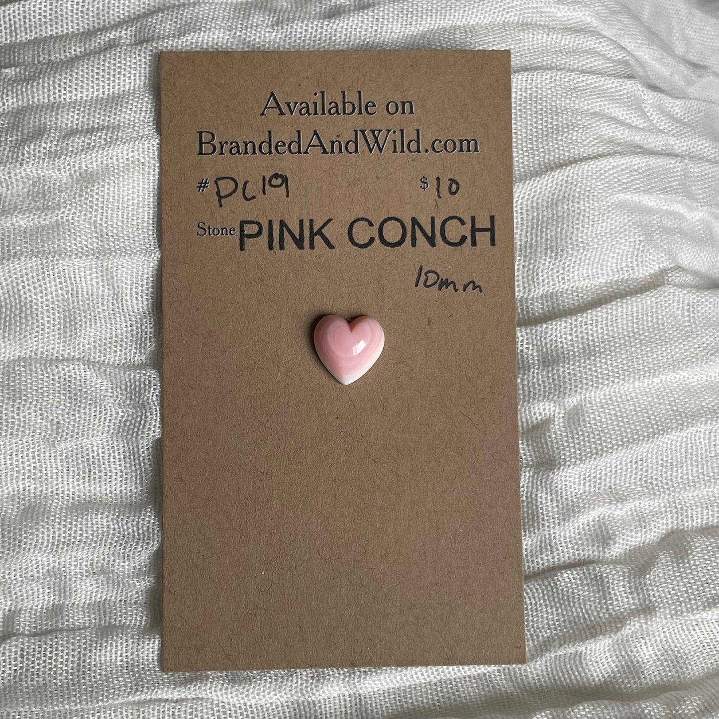 Pink Conch Cabochon - PC19 BF8D5B3E-8F79-4221-95FA-0A4EF4BAA51E Brandedandwild.com