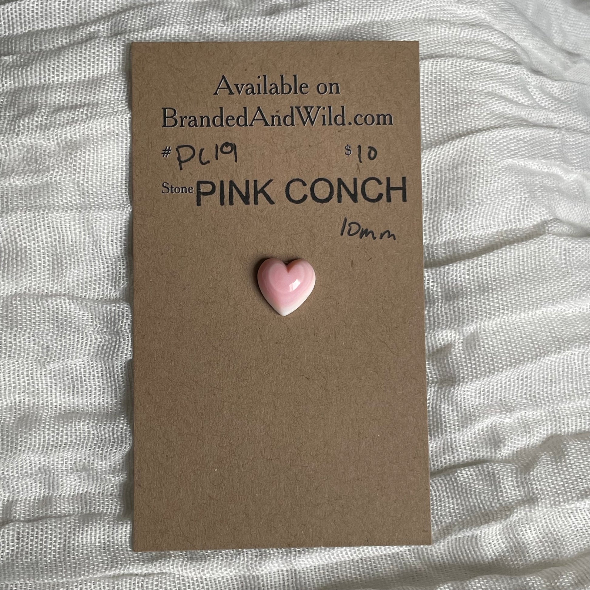 Pink Conch Cabochon - PC19 BF8D5B3E-8F79-4221-95FA-0A4EF4BAA51E Brandedandwild.com