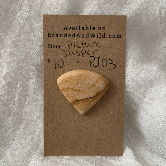 Picture Jasper cabochon - PJ03