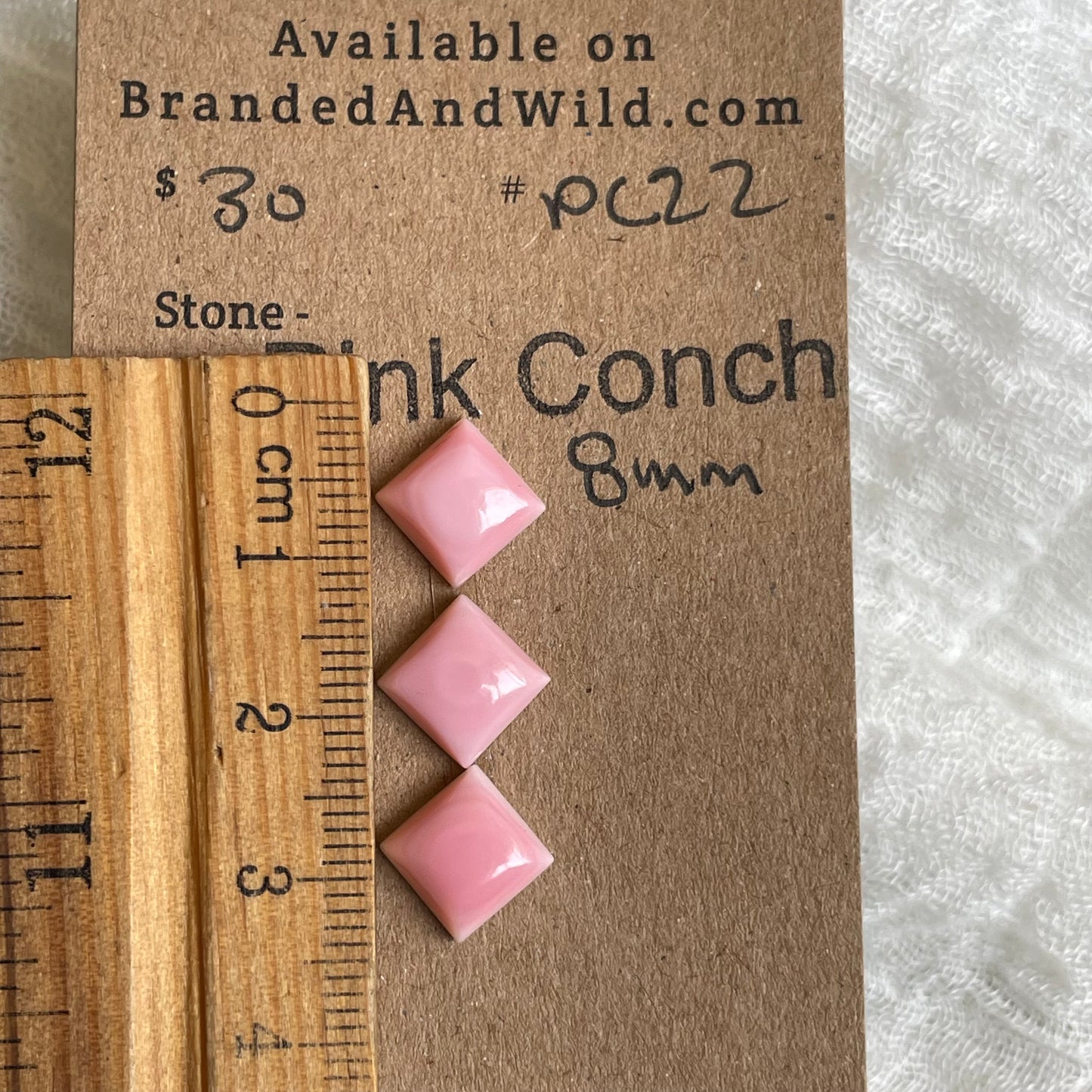 Pink Conch Cabochon - PC22