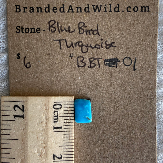 Blue Bird Turquoise Cabochon - BBT01