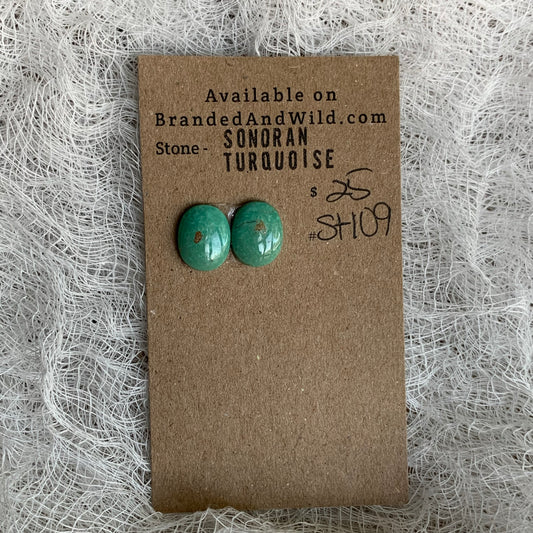 Sonoran Turquoise Cabochon - ST109