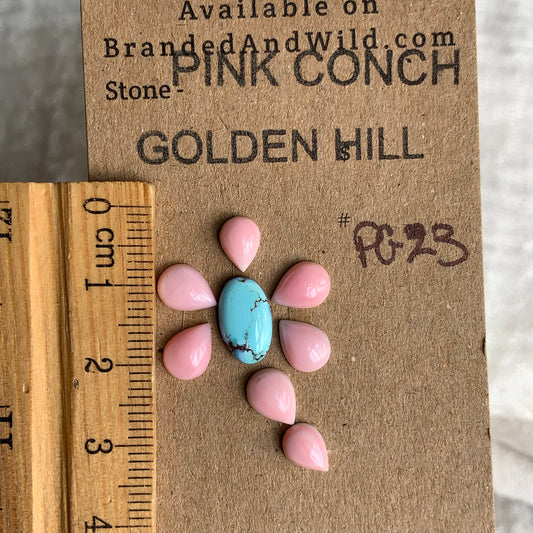 Pink Conch/Golden Hill Cabochon - PG23