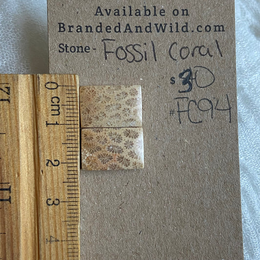 Fossil Coral Cabochon - FC94 C08141F4-13EC-4736-B654-0F80435BADDC Brandedandwild.com