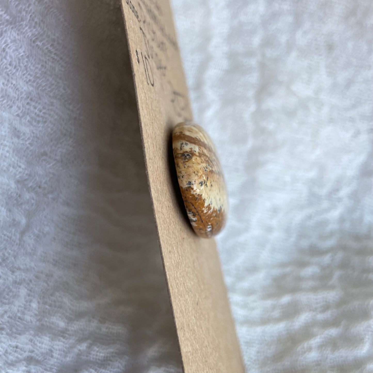 Picture Jasper Cabochon - PJ53