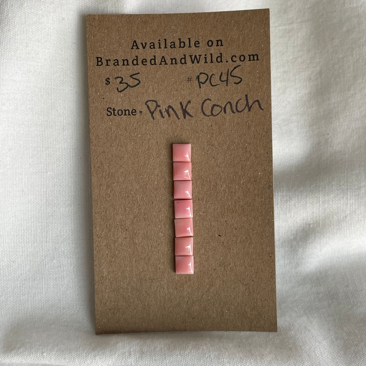 Pink Conch Cabochon - PC45