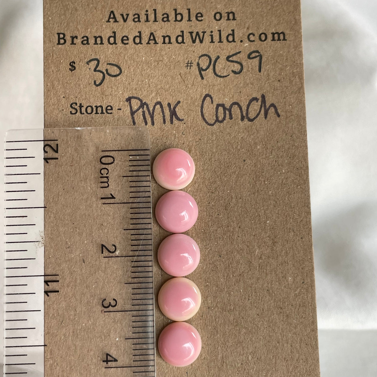 Pink Conch Cabochon - PC59 C0C0F16B-E3BE-4A89-B450-A424F84EBAD2 Brandedandwild.com