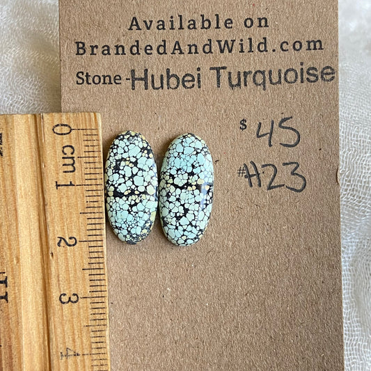 Hubei Turquoise Cabochon - H23 C0EC8FE6-1F10-431A-B06F-DDF38794D300 Brandedandwild.com