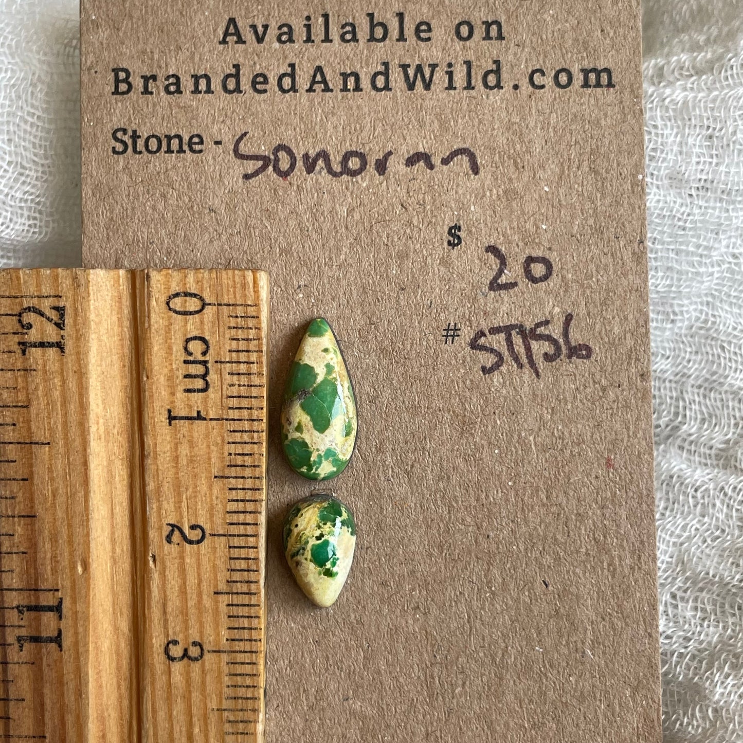 Sonoran Turquoise Cabochon - ST156