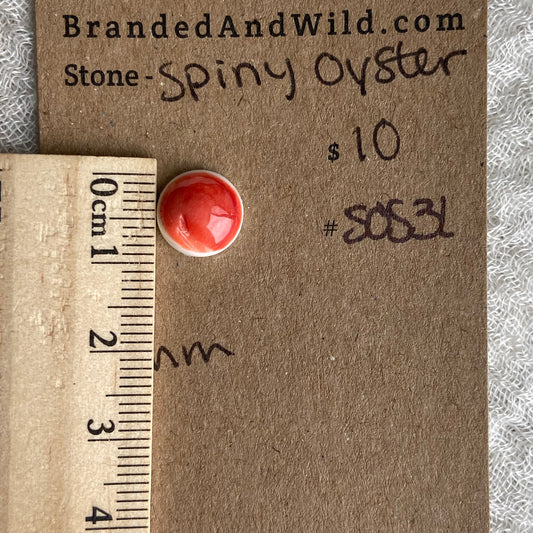 Spiny Oyster Shell Cabochon - SOS31