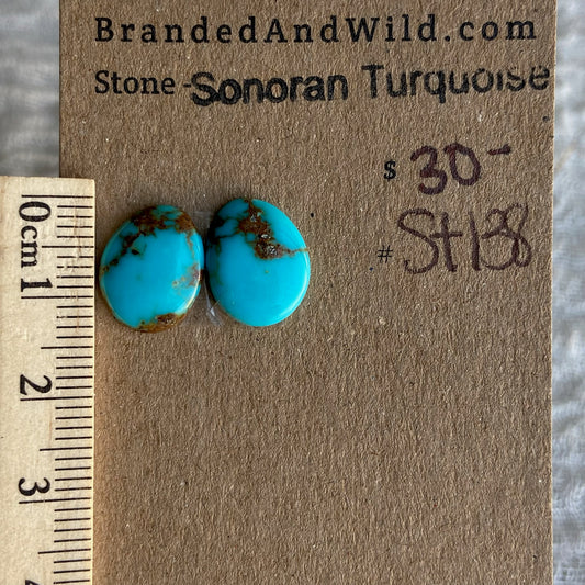 Sonoran Turquoise Cabochon - ST138