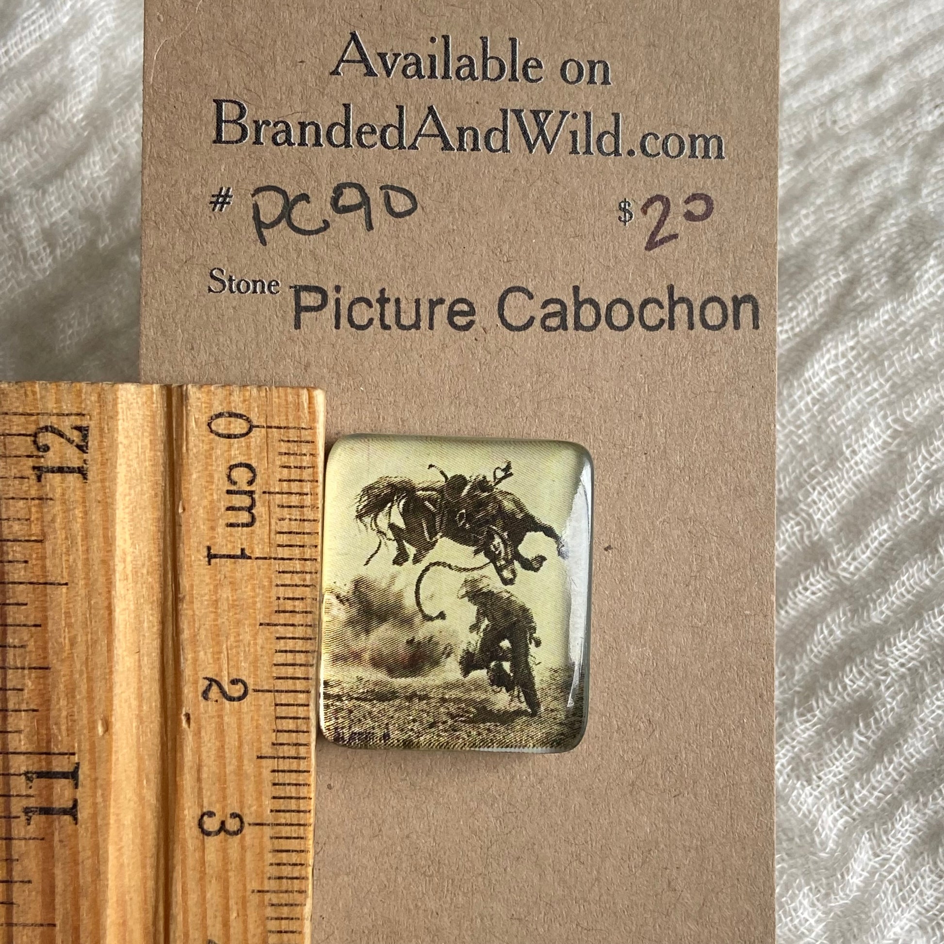 Picture Cabochon - Cabochon - PC90 C1451974-7D31-4DDC-B913-E36196A9A3CE Brandedandwild.com